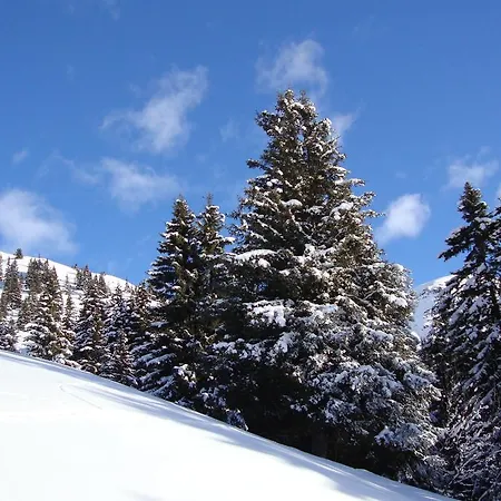 Haus Edring Apartament *