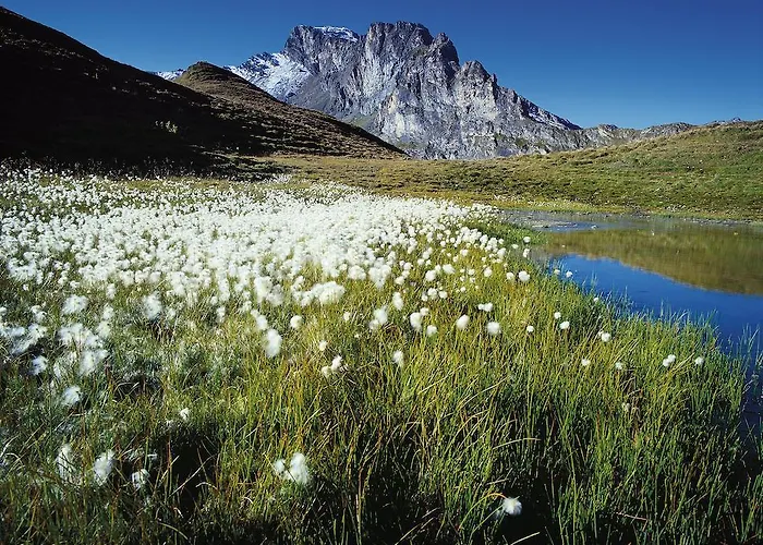 Haus Edring * تكس